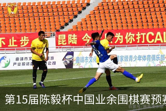 第15届陈毅杯中国业余围棋赛预赛收官 本赛阵容出炉